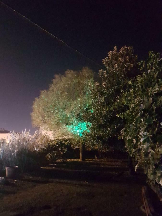 פיסטויה Alle Vecchie Mura מראה חיצוני תמונה